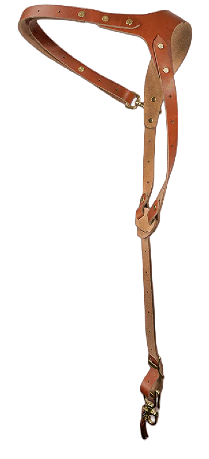 Rose Anvil camera harness detail