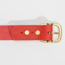 Micro-Adjust Belt - 1.25"